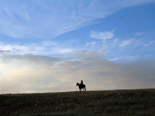 USA-New Mexico-New Mexico Cowboy Week